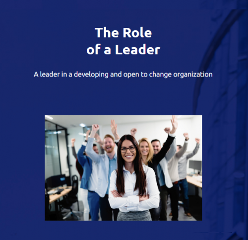 A leader in a developing and open to change organization - MyChallengeAcademy.com